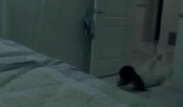 真实灵异事件视频,视频记录下的惊悚瞬间